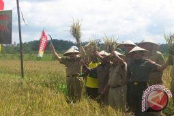 13 Investor Ajukan Garap Food Estate