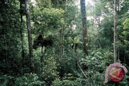 Kalsel Tambah 59 Rimbawan Pengamanan Hutan