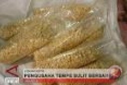 Bikin Tempe Dari Bahan Dasar Kacang Tunggak