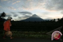 Guguran Material Puncak Merapi Akibatkan Hujan Abu
