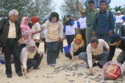 Mari Pangestu Lepas Tukik di Pulau Derawan