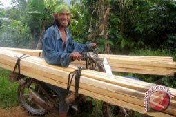 Penambangan Rambah Hutan Lindung