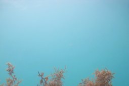 Mahasiswa IPB  Teliti Sosial Ekonomi Desa Temajuk