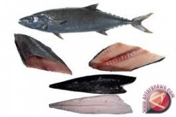 Ikan Setan Pas Sembuhkan Thypus dan Demam Berdarah