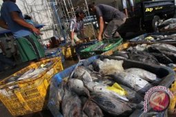 China Bangun Pengalengan Ikan