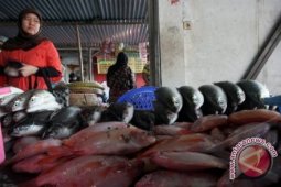 DPRD Desak Pemda Benahi PPI Aluh-Aluh
