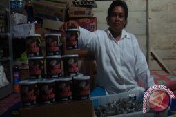 Teri Borneo Diekspor Ke Belanda dan AS