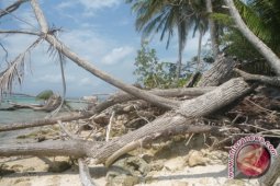 Abrasi dan batubara ancaman serius pulau tikus