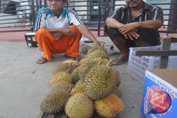 Penjual Durian "Sepi" Pembeli
