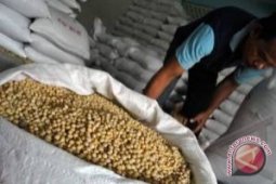 Tabanan Proyek Percontohan GP PTT Kedelai