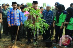 Jalan melintasi cagar alam perlu persetujuan DPR
