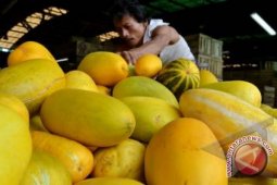 Penjualan Buah Segar Di Banjarbaru Meningkat