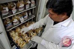 Stok darah di Jambi kurang