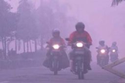 KABUT ASAP