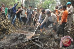 Ribuan hektare lahan di Jambi terbakar