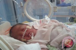 BKKBN: 19 kasus kematian bayi selama 2013