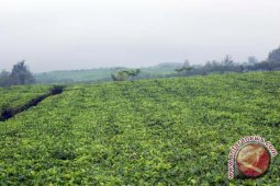 Wagub: Wisatawan terfokus kunjungi destinasi unggulan