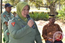 Banyak Lahan Persawahan di Nunukan Beralih Fungsi