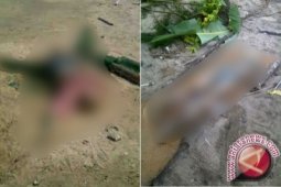 Temuan Mayat  Gegerkan Warga