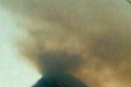 Hutan Gunung Agung Terbakar