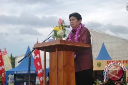 Wagub: Pernyataan Menteri BUMN Cambuk Bagi Kaltim
