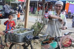 BUAH ROTAN