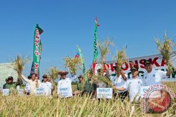 PANEN RAYA MENTERI BUMN