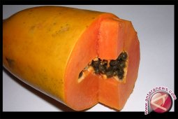 Macam Biji Dari Sayur dan Buah Yang Menyehatkan