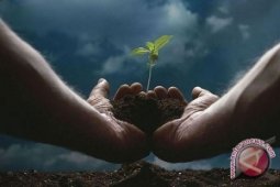 300 Pohon Penghijauan Ditanam Wilayah Banjarmasin