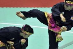 SILAT KATEGORI SENI