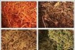 Pakar: Ramuan Obat Tradisional Bukan Instan