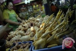 Jangan Takut Makan Daging Unggas