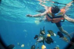 SNORKELING GILI TRAWANGAN