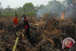 70 Ha penyangga Taman Nasional Berbak terbakar