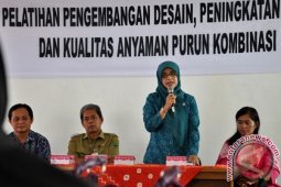 KERAJINAN ECENG GONDOK