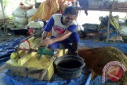 MENGOLAH CAMPURAN PAKAN ITIK PEDAGING