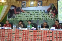 Relokasi Orangutan