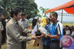 BANTUAN BIBIT KARET