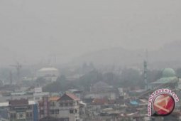 Government Making Maximum Efforts To Overcome Land Fires: President