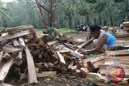 Warga mulai gunakan arang akibat elpiji langka