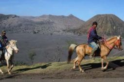 AKTIVITAS BROMO MENINGKAT