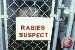 Rabies Meluas Di Kalbar Karena Vaksin Rusak