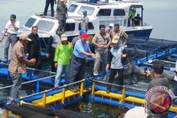 Gubernur Kunjungi Keramba Apung Bontang