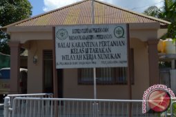 Daging "Alana" Marak Diperdagangkan di Nunukan