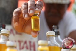 Beberapa Negara Asia Minati Bulus Kalsel