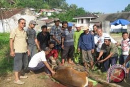 Sejumlah Anggota DPRD Kaltim Melakukan Kurban