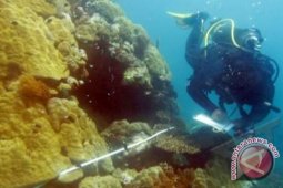 DKP Sambas Ajak Nelayan Jaga Terumbu Karang