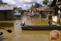 Perekonomian Sintang Terganggu Akibat Banjir