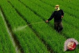Kodim Sukseskan  Cetak Sawah