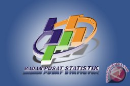 Tanaman Pangan Babel Turun 1,04 Persen